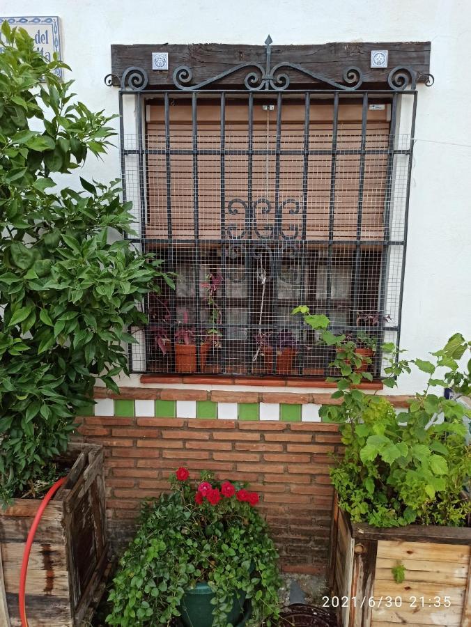 グラナダLa Casita De Paco Albaicinアパートメント エクステリア 写真