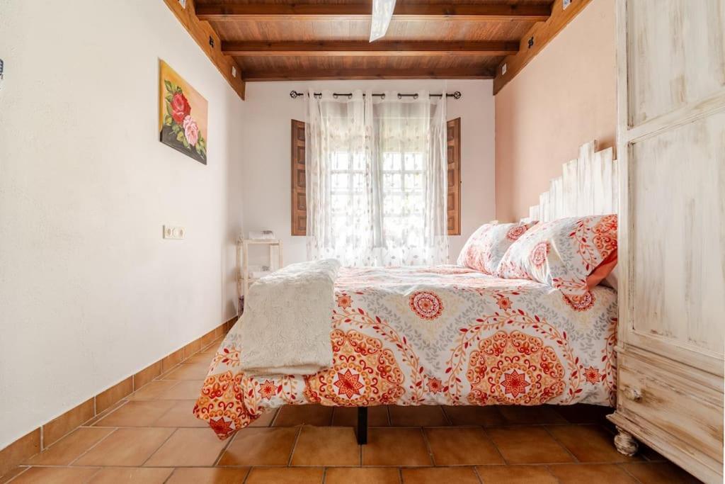 グラナダLa Casita De Paco Albaicinアパートメント エクステリア 写真